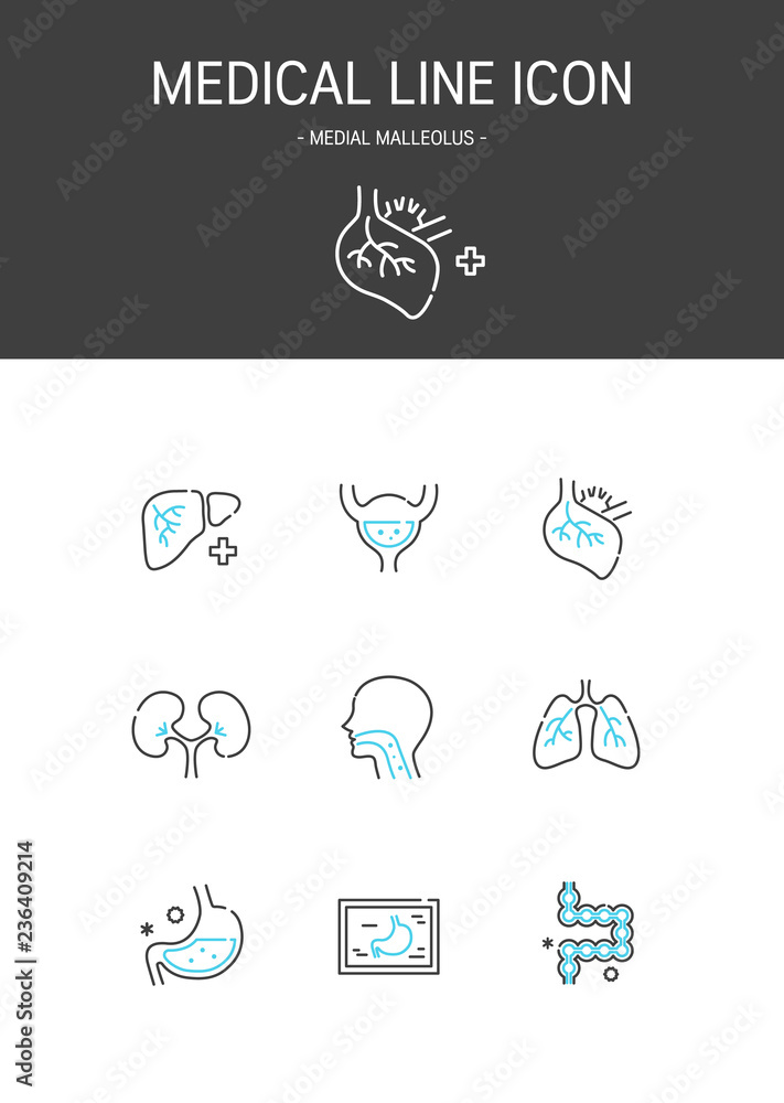 Medical elements outline icons set. Medial malleolus Medical elements outline icons set. Medial malleolus