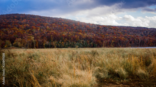 Lake Fort Smith Fall Landscape