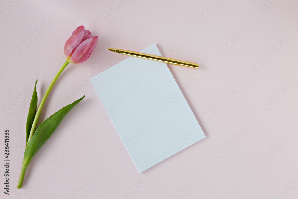 blank card with tulips and pencil blank card with tulips and pencil