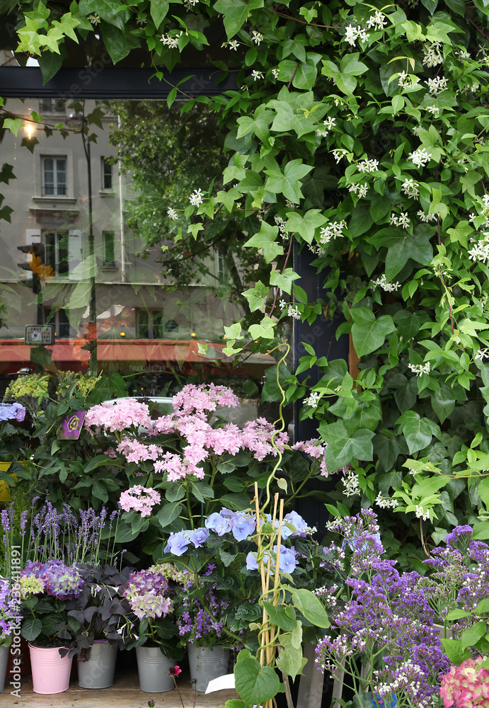 Fototapeta premium Vitrine de fleuriste