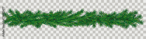 Fotografia Christmas Green Twigs Transparent