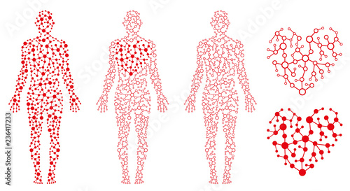 Human Body Health, Heart and Blood, Blood Circulation photo