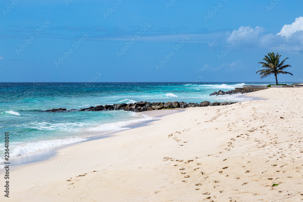 A white sandy beach on the island of Barbados A white sandy beach on the island of Barbados