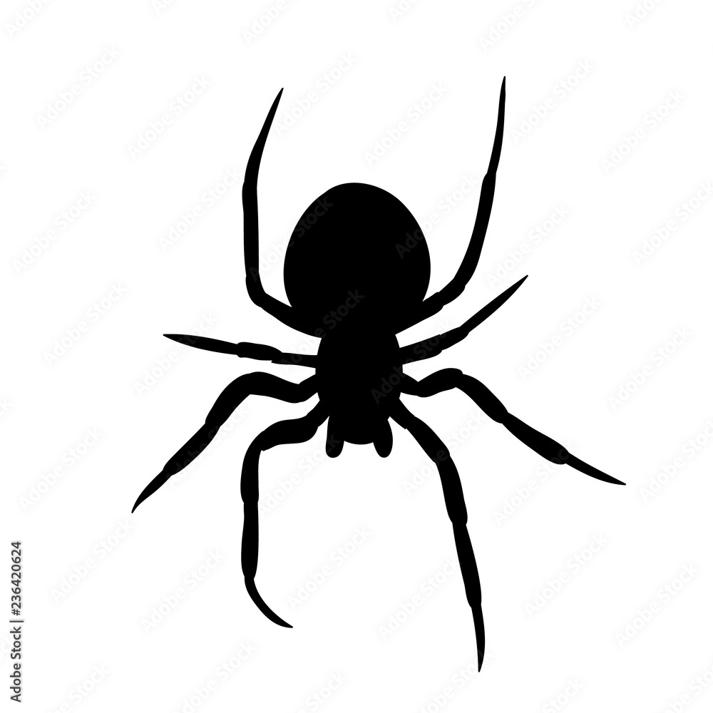 vector, isolated, silhouette of a spider, insect on white background vector, isolated, silhouette of a spider, insect on white background