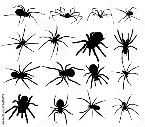 silhouette spider set, collection © zolotons