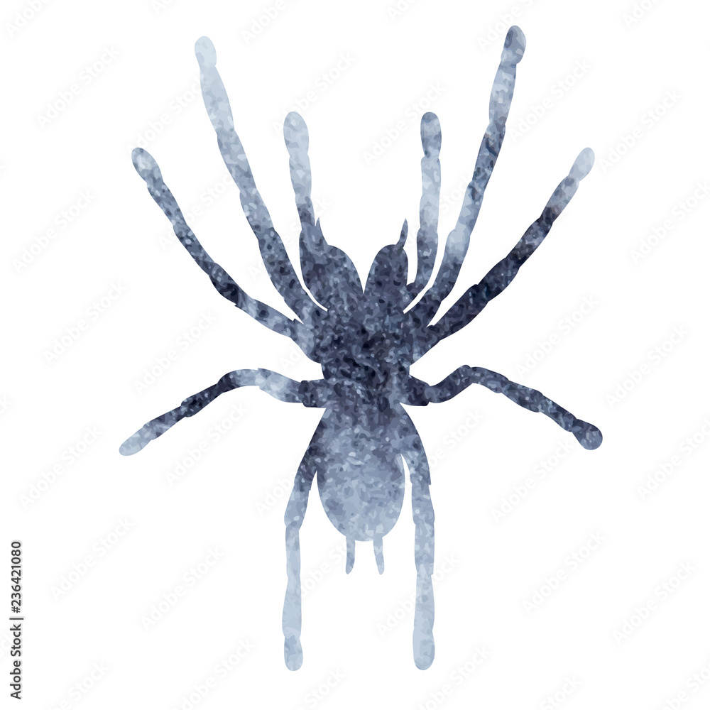 isolated watercolor gray silhouette spider, insect isolated watercolor gray silhouette spider, insect