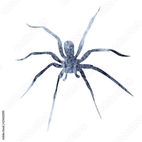 gray silhouette of spider watercolor