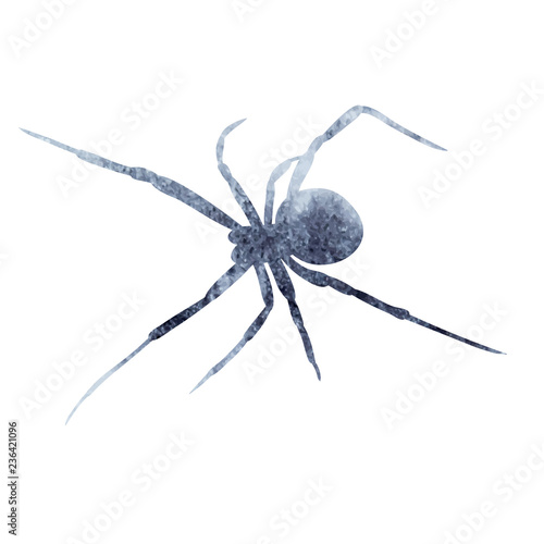 isolated, gray silhouette of spider watercolor