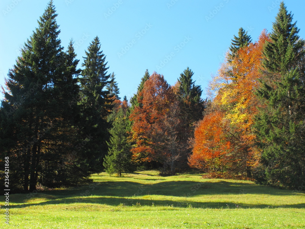 Fototapeta premium Herbststimmung