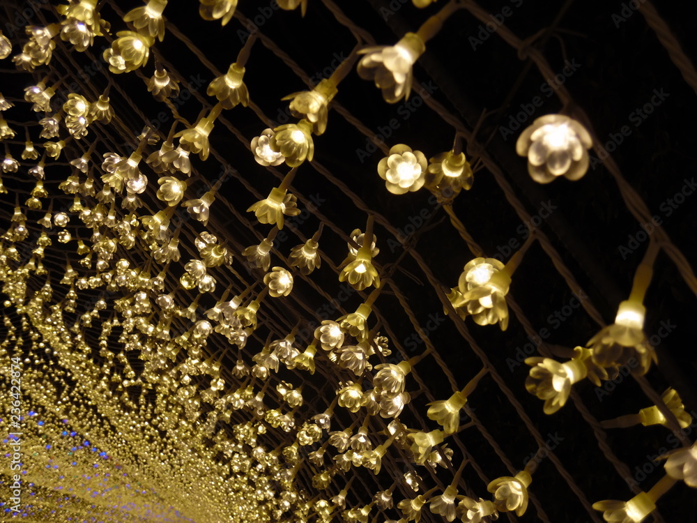 Obraz premium Lights of Illuminations