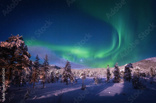 Aurora on the night sky, winter, Norway