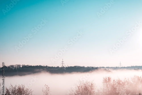 Stunning view of morning forest landscape in foggy weather.