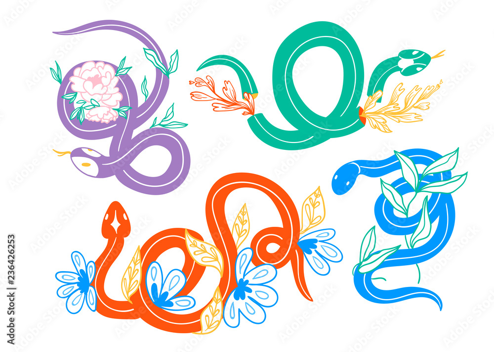 Snakes and flowers. Hand drawn colored vector set. All elements are isolated