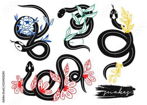 Black snakes and colored flowers. Hand drawn vector set. All elements are isolated