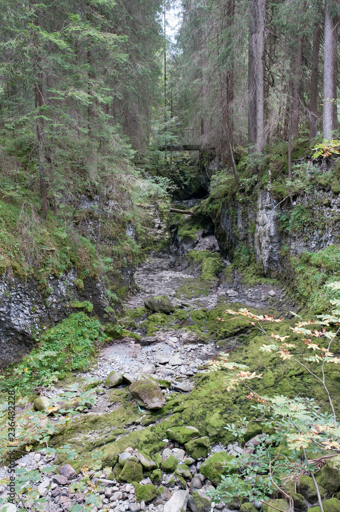 schwarzwasserbach im kleinwalsertal, trockenes bachbett schwarzwasserbach im kleinwalsertal, trockenes bachbett
