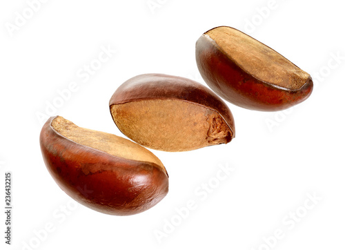 Three nuts Vitellaria paradoxa , commonly known as shea tree or