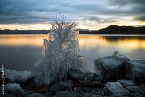 Ice covered tree and shore of Jonsvatnet lake in Norway. photo