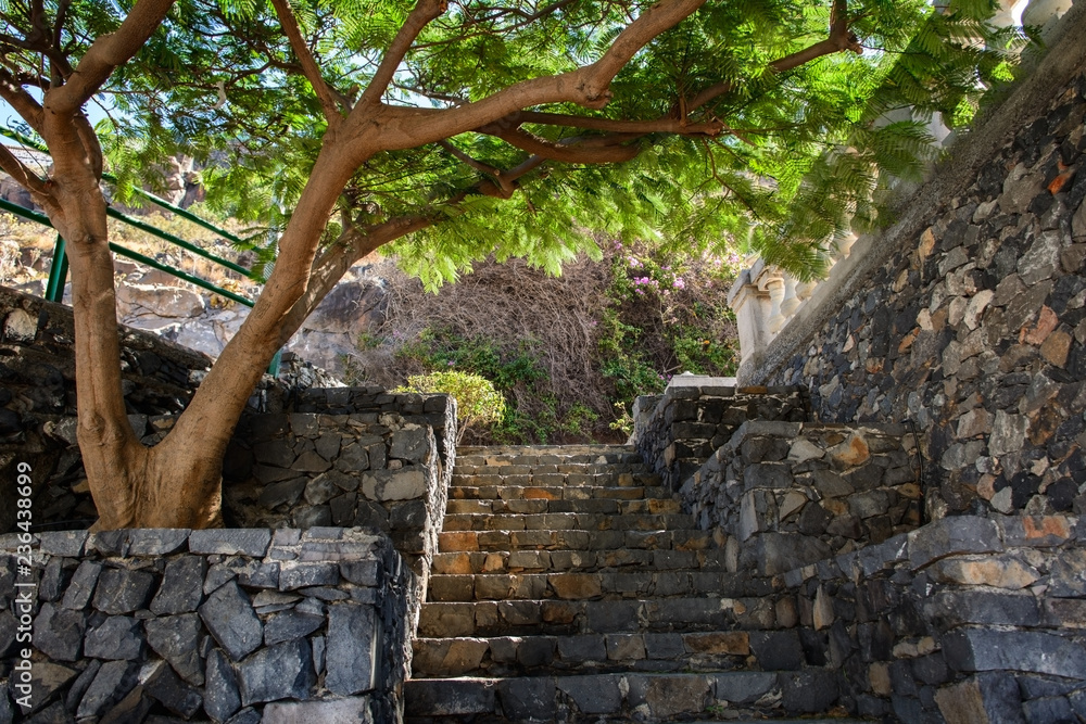 Kamienne schody wśród zieleni