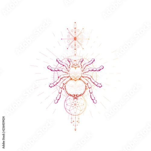 Vector illustration with hand drawn spider and Sacred geometric symbol on white background. Abstract mystic sign.
