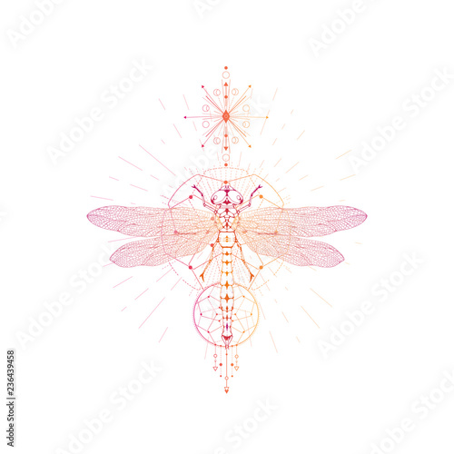 Vector illustration with hand drawn dragonfly and Sacred geometric symbol on white background. Abstract mystic sign.