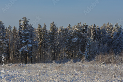 Frosty day © Grigoriy