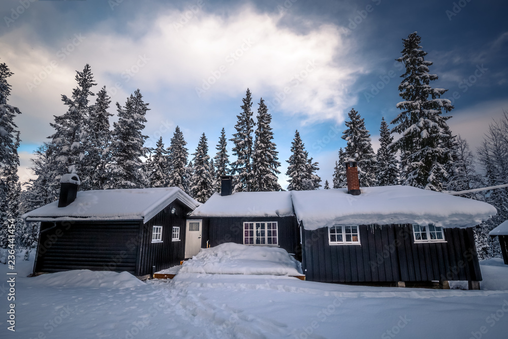 Forest scandinavian cabin in snowy woodland. Winter in Norway.