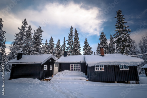 Forest scandinavian cabin in snowy woodland. Winter in Norway. © Adrian
