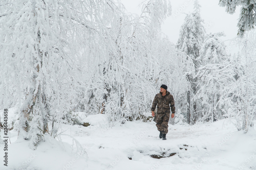 Man hiker walking in beautiful winter forest