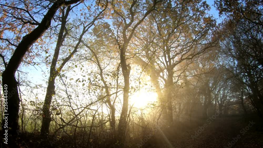Morgennebel, Gimbaleinsatz