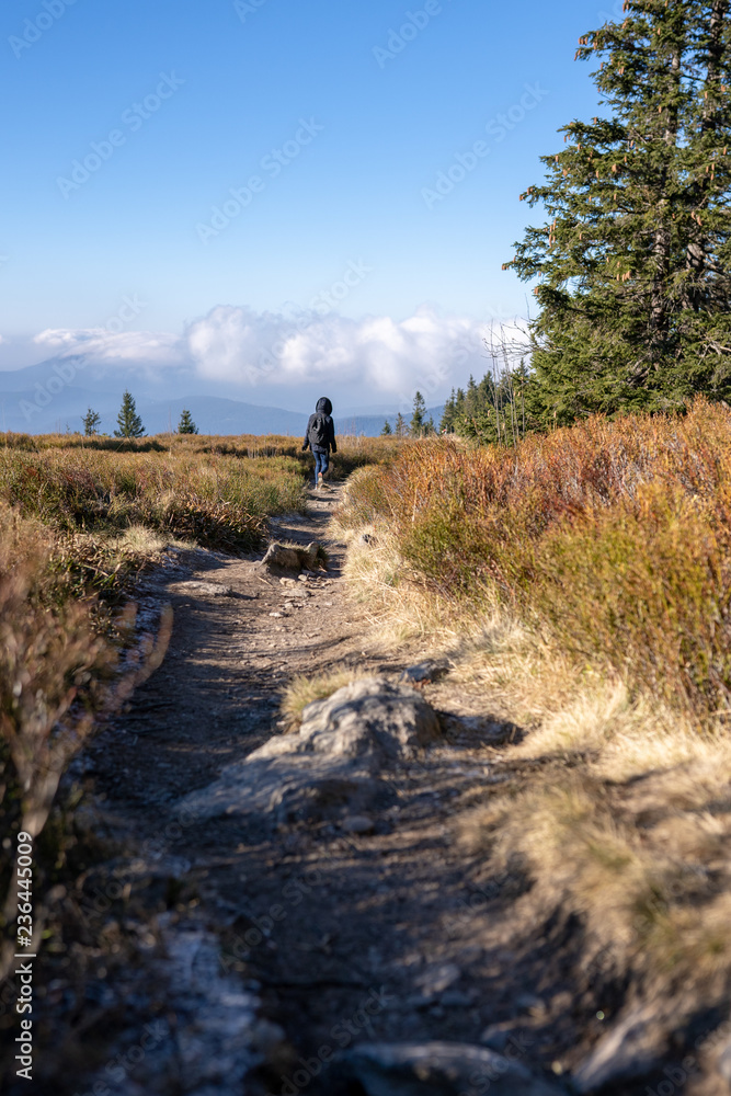 Hiking in the upper bavarian forest in the near of the Osser, germany.