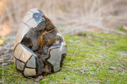 Big Septarian stone also called dragonegg standing in the grass in autumn during sunset photo