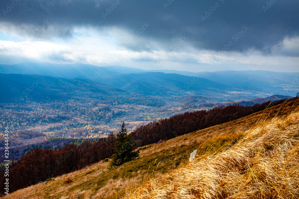 Fototapeta premium Landscape of autumnal peaks of the Carpathians.