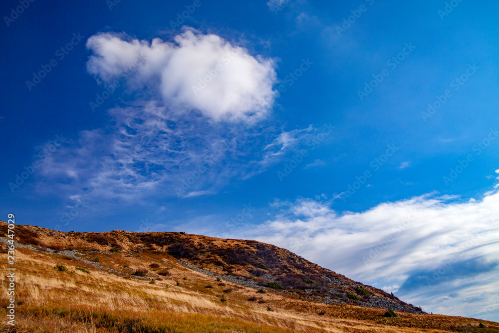 Obraz premium Landscape of autumnal peaks of the Carpathians.