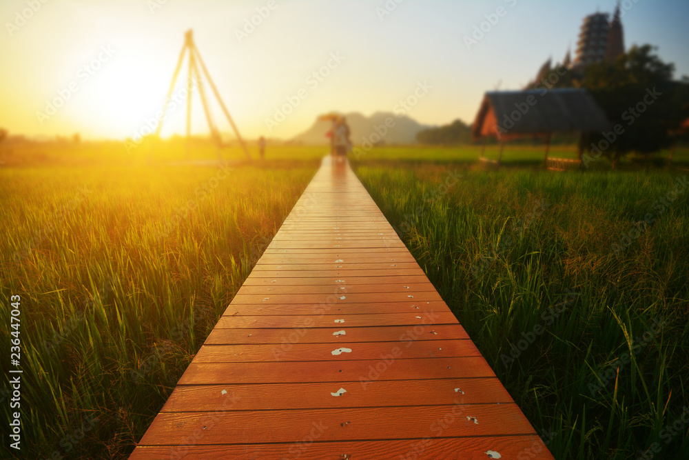 Fototapeta premium A wooden bridge in the rice field and sunset.