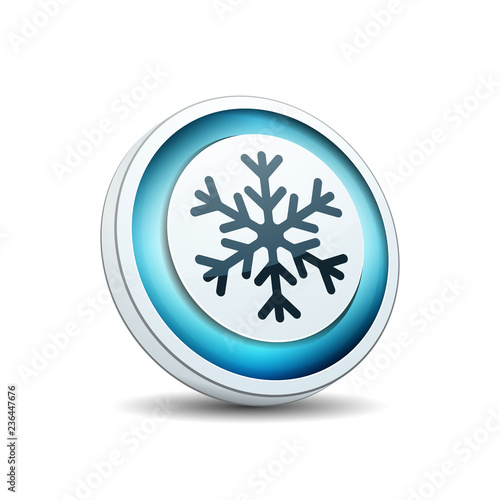 Snowflake button illustration