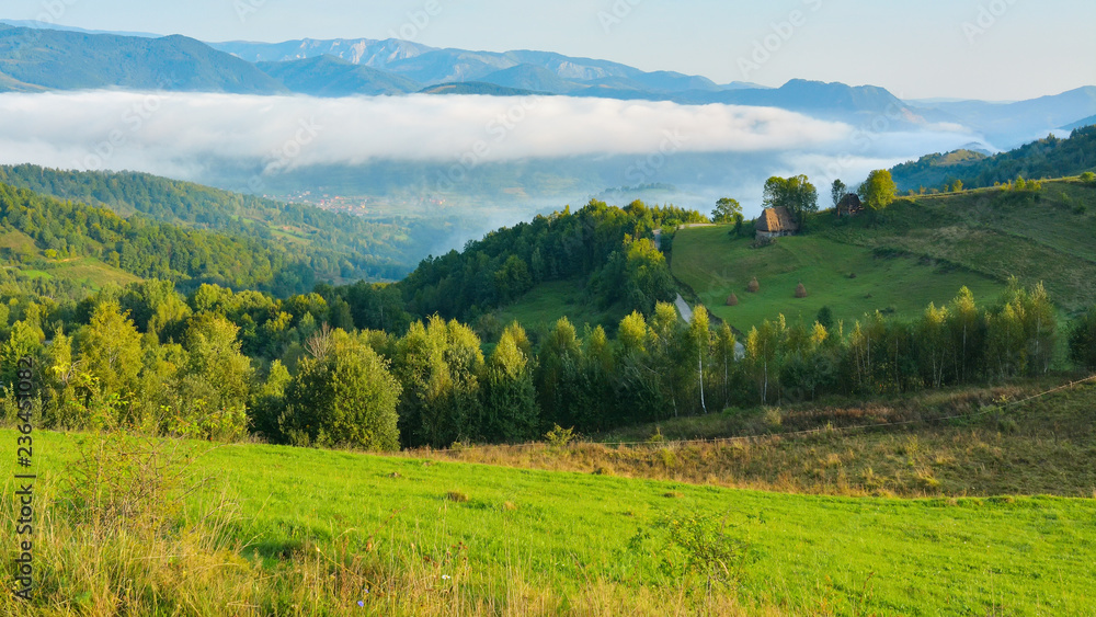 Autumn in Transylvania - the Apuseni Mountains