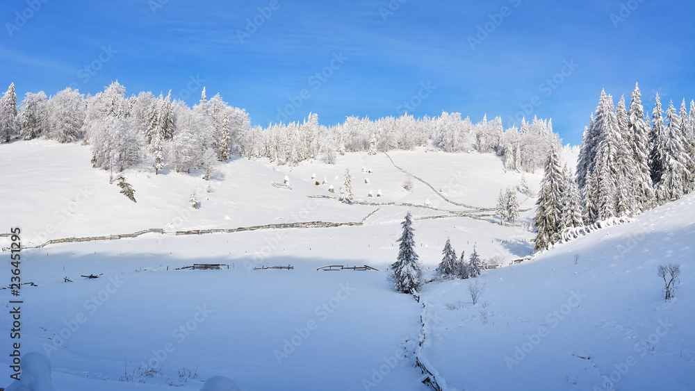 Winter in Transylvania - the Apuseni Mountains Winter in Transylvania - the Apuseni Mountains