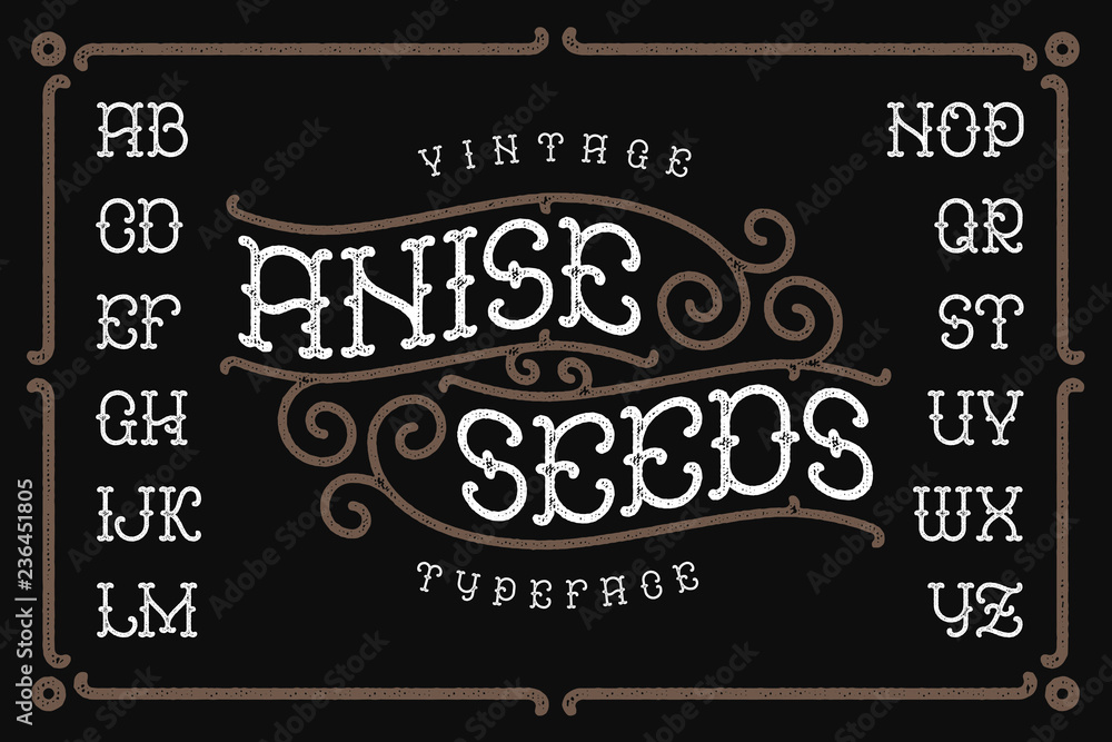 Vintage typeface named "Anise Seeds" with textured effect and ornate decorative frame. - obrazy, fototapety, plakaty 