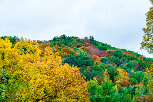 Fototapeta Naklejka Na Ścianę i Meble -  Hillside of Colors in New England