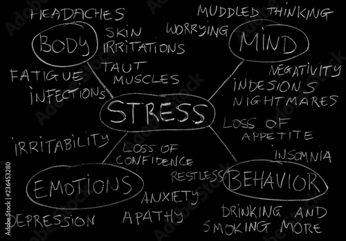 stress body mind behavior