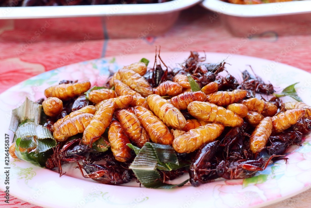 Fried insect at street food Fried insect at street food