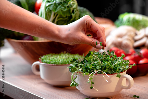 Girl takes a soy sprout. Microgreen in a white plate among a variety of vegetables on a light wooden table close up. Concept of melting food and plant food. Greens close up