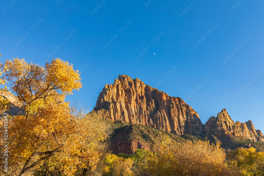 Scenic Autumn Landscape in Zion National Park Utah