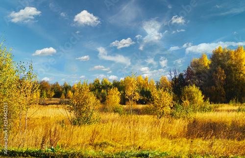 Autumn landscape with beautiful sky