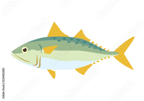 graphic fish, vector