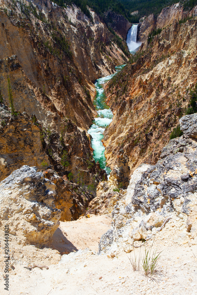 The Lower Falls in Yellowstone National Park The Lower Falls in Yellowstone National Park
