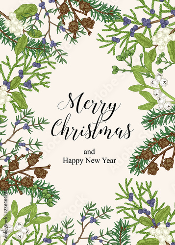 Hand drawn Christmas card with winter plants. Spruse, mistletoe, juniper and cones vector illustration. Botanical design elements.