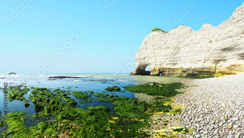 Picturesque panoramic landscape on the cliffs of Etretat at low tide and sunset, Normandy, France. Rocky coastline, sea horizon. Algae at the beach of Etretat. Effects of the ebb © ANGHI