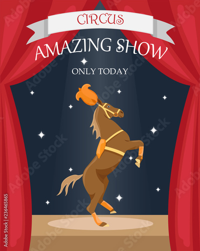 Circus trained horse in stage decoration. Flat vector poster.