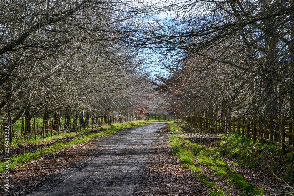 Camino al sur Camino al sur